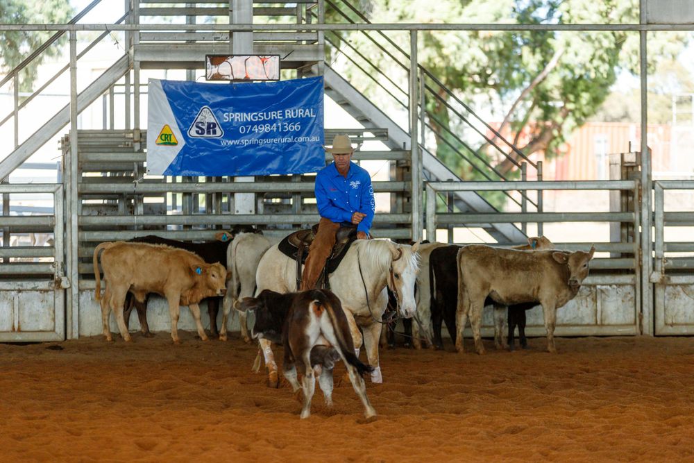 A rider on horseback works with cattle in an indoor arena during a western competition event.