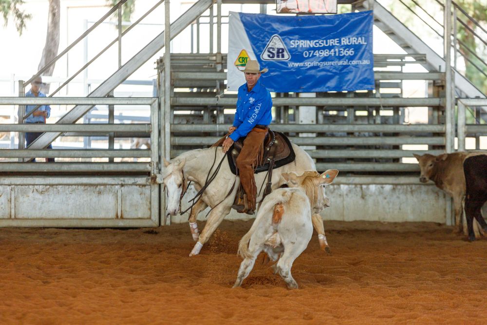 Action shot of western rider on horseback working with cattle during an arena competition.