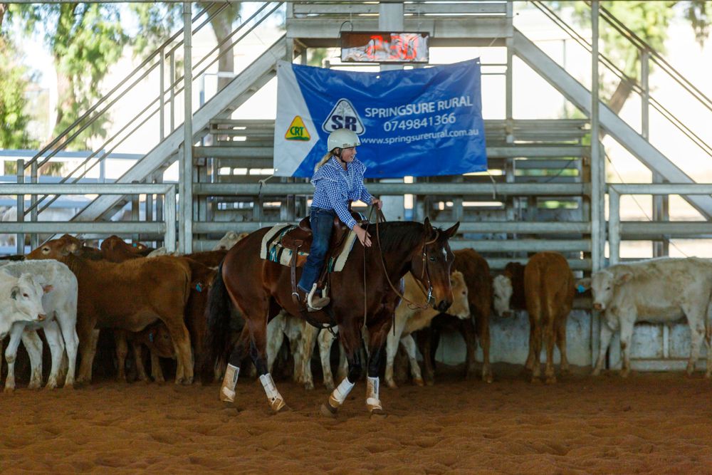 A horse and rider work with cattle during a western riding competition in an indoor arena.