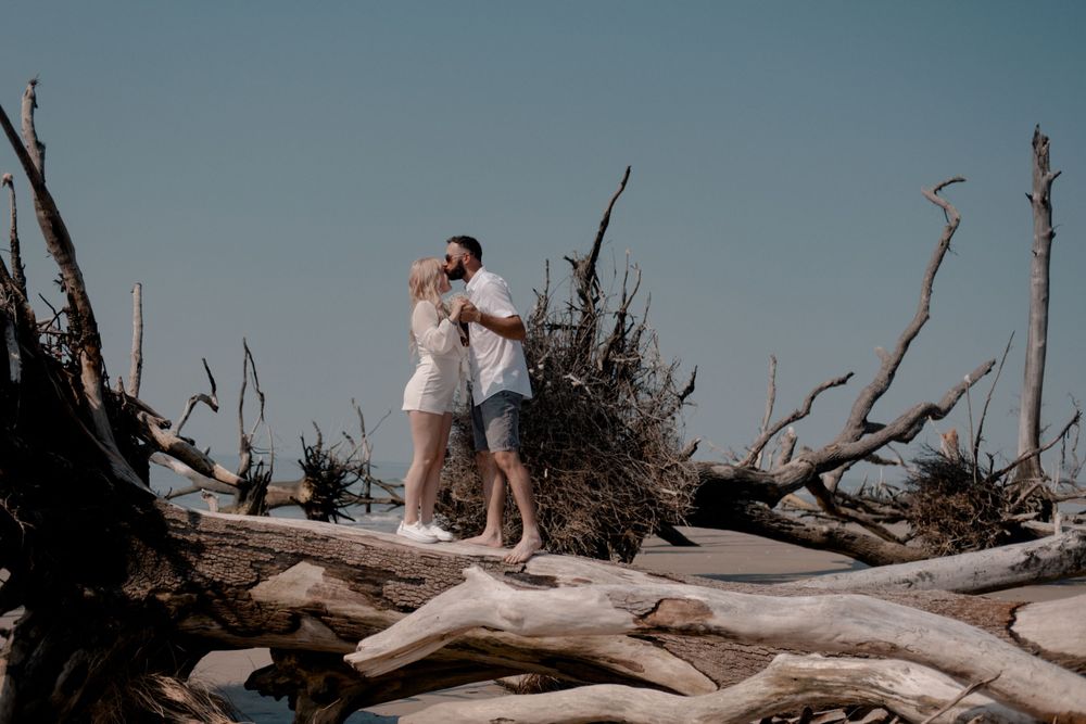 iceland icelandic intimate wedding elopement charleston south carolina destination wedding photography germany canada