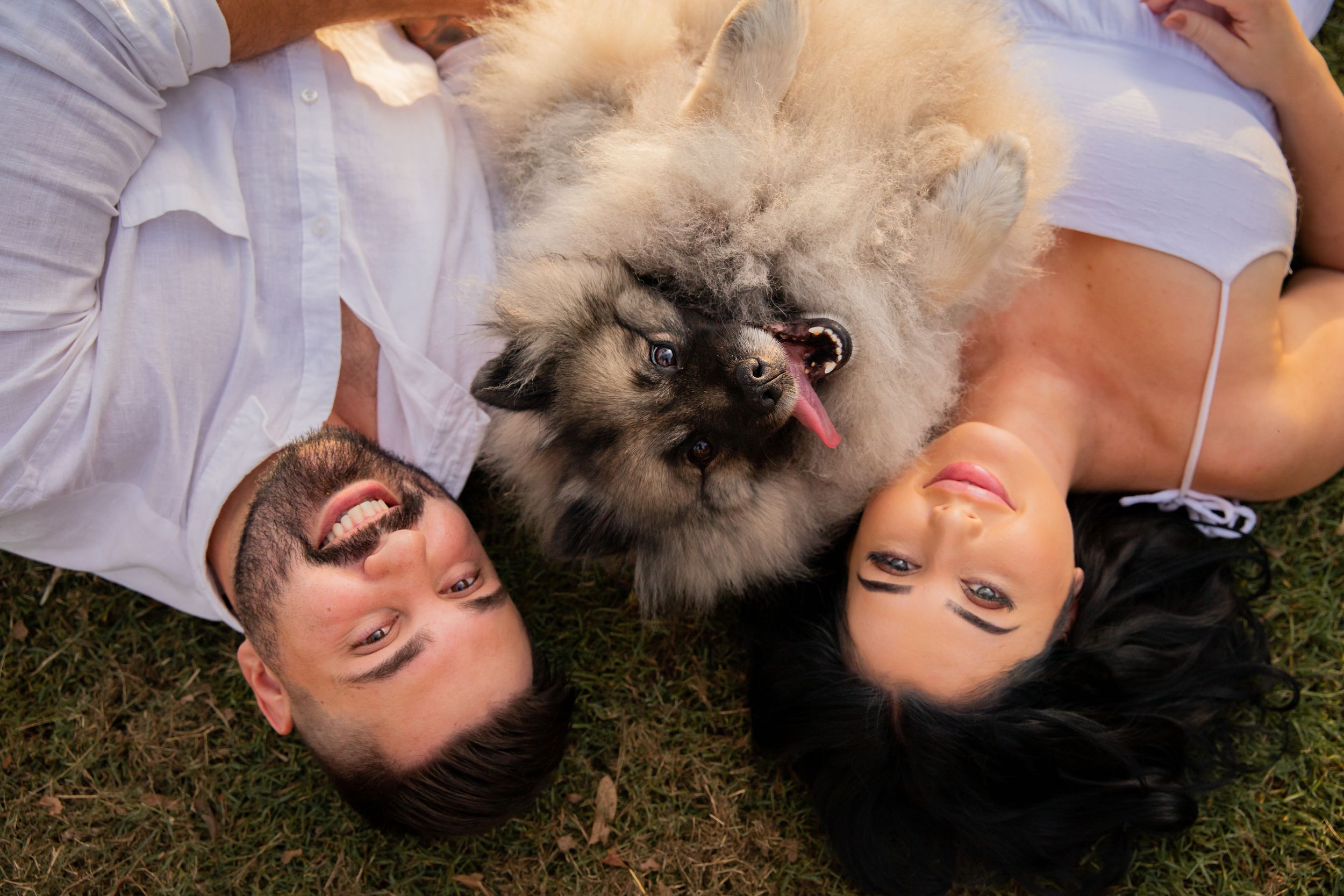 Two people lay flat on the grass and look up at the camera smiling, between them is their Keeshond dog