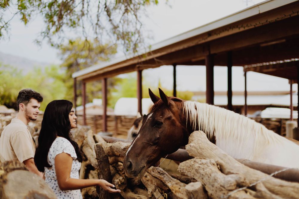 Couple interacting with horses at a rustic ranch at sunset.