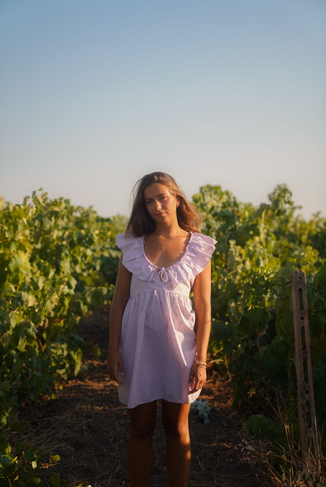 Woman in white summer dress standing among vineyard rows at sunset.