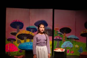 Actor performs solo against colorful mushroom-decorated theatrical backdrop.