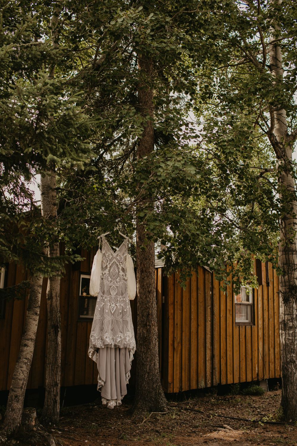 Lace wedding dress hanging on tree in front of wooden cabin.