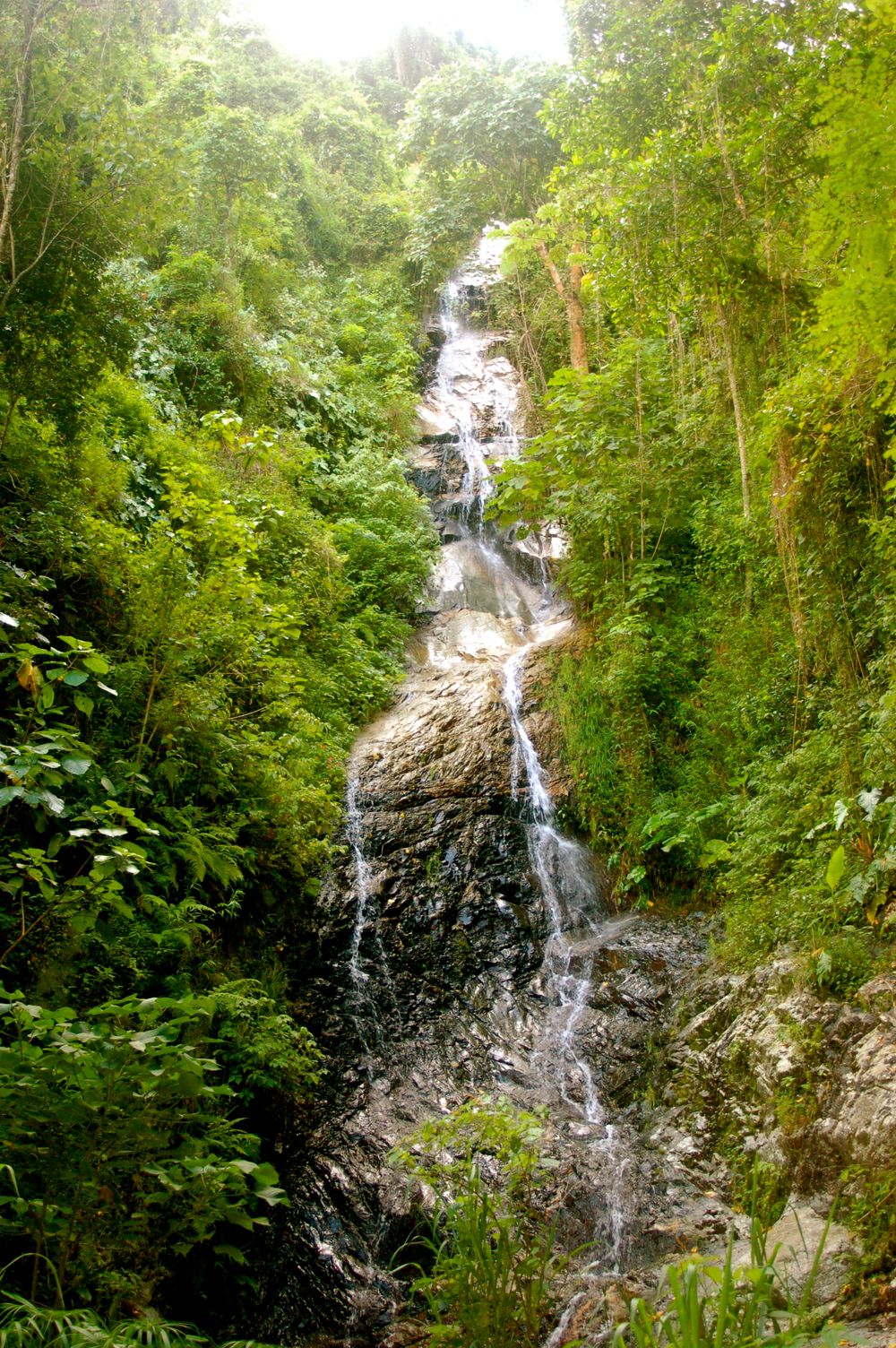 A tall cascading waterfall flows through dense jungle vegetation in bright sunlight.