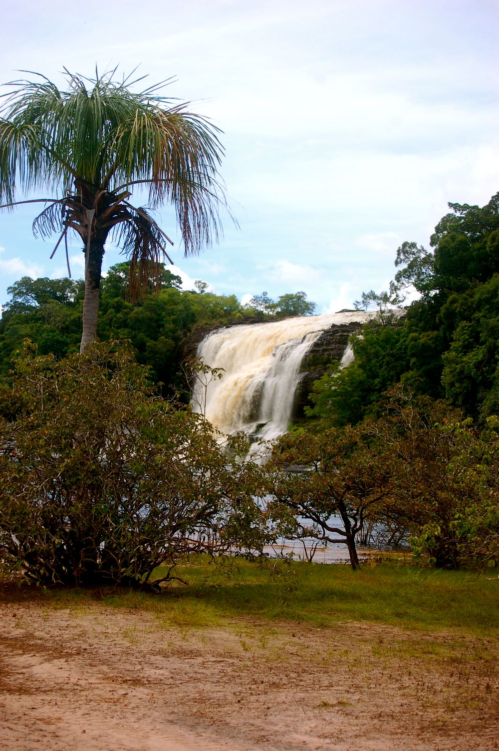 A scenic waterfall flows near a palm tree in a tropical setting with brown sandy ground.