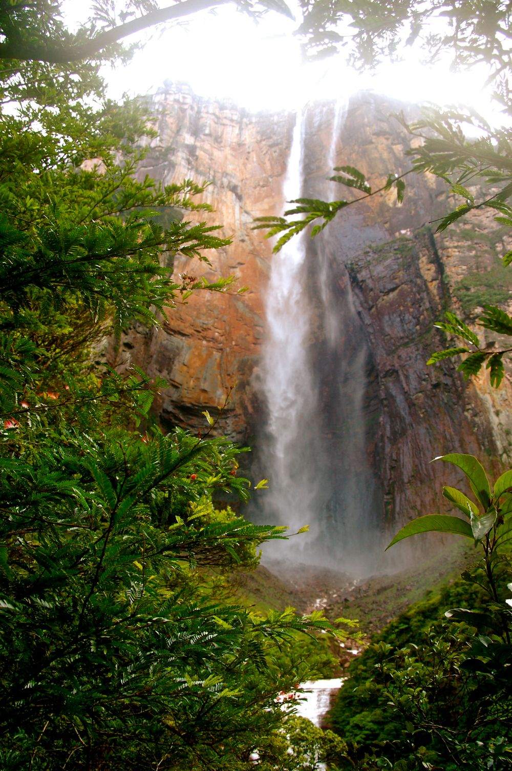 Tropical waterfall streams down rocky cliff face surrounded by lush green foliage.