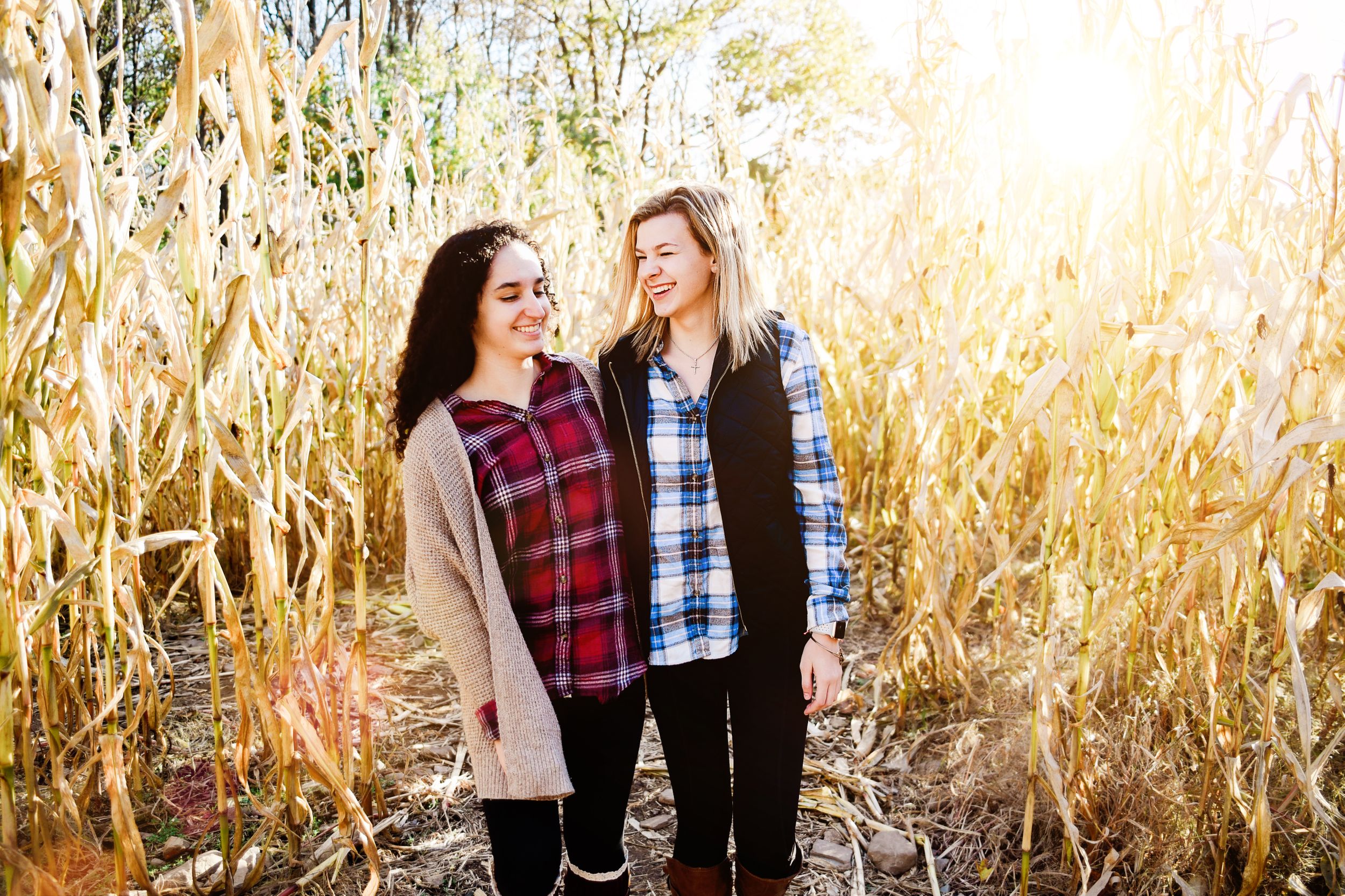 Fall themed portrait session among tall golden corn stalks at sunset.