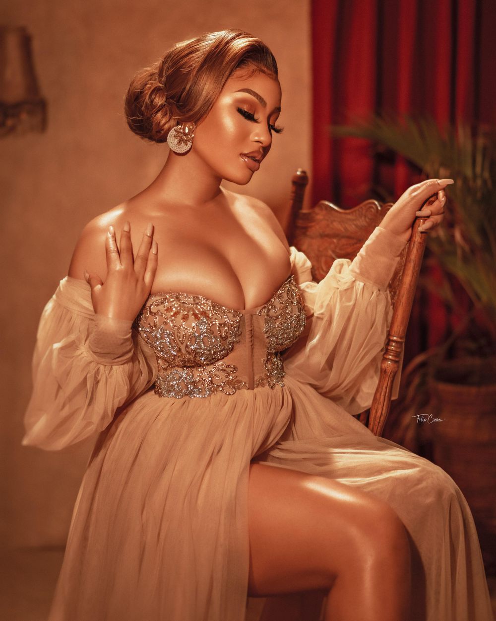 Elegant portrait in champagne-colored gown with rhinestones and sheer sleeves.