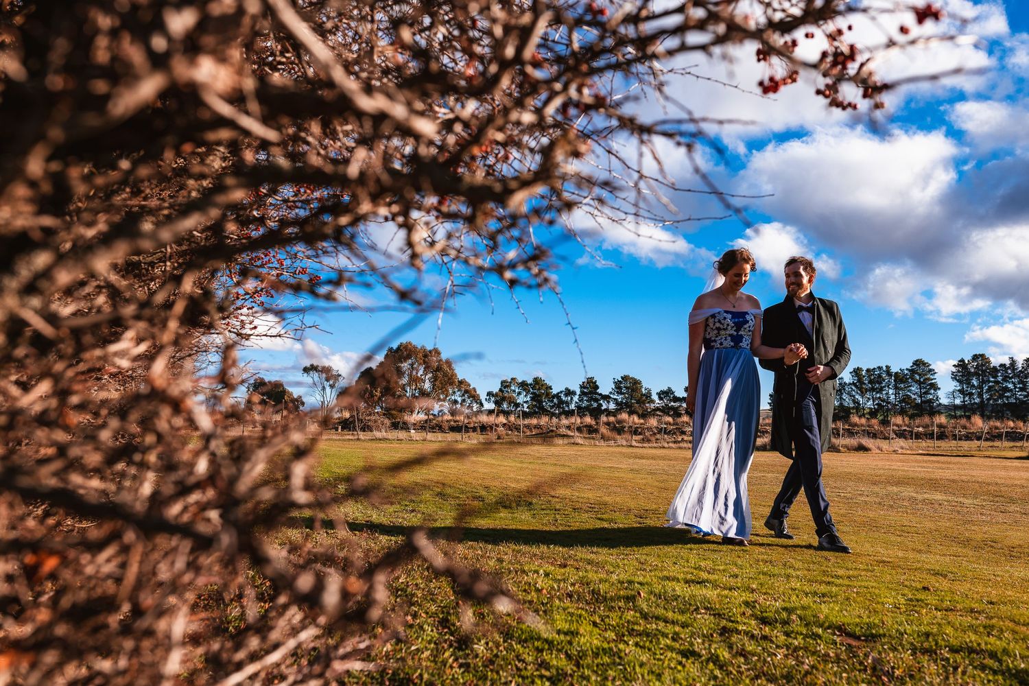 A couple walks together on a sunny day through an open field with bare tree branches in the foreground.