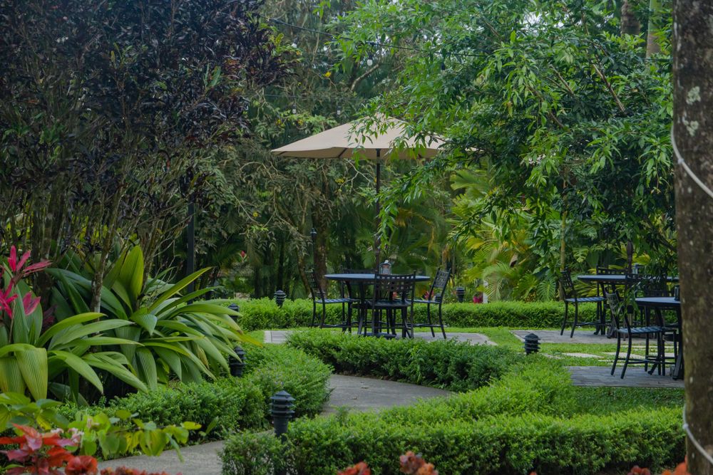 Lush tropical garden dining area with outdoor tables and chairs.