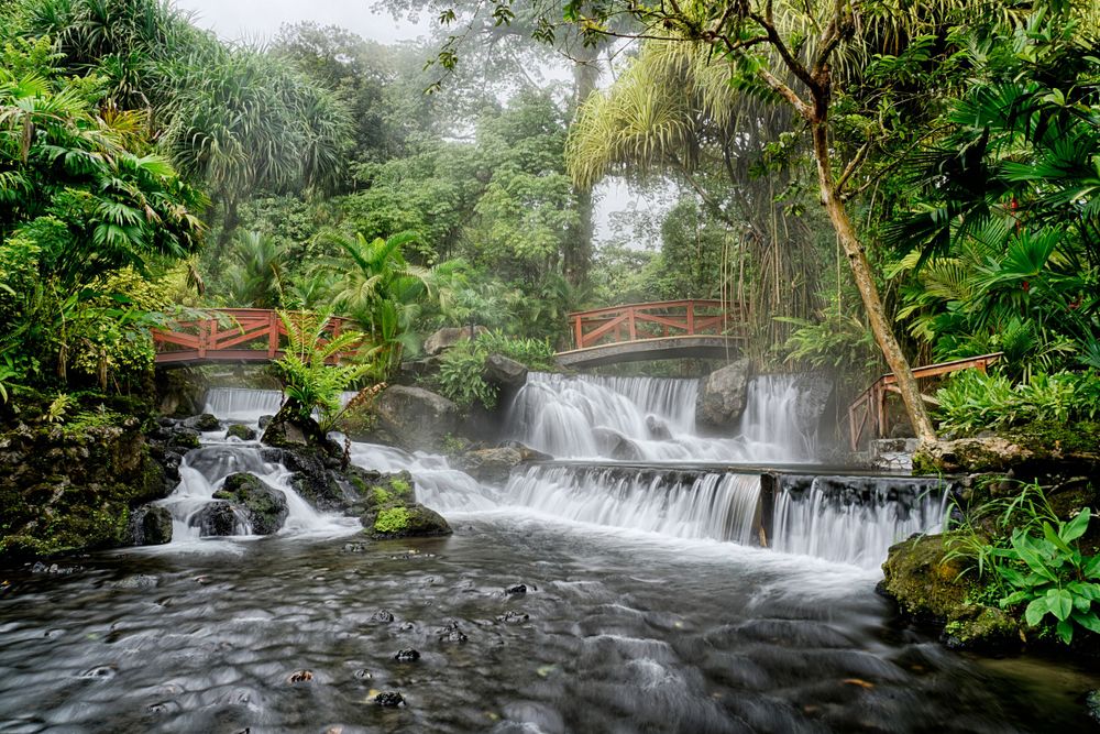 Multi-tiered waterfall cascading through tropical rainforest with mossy rocks and dense foliage.