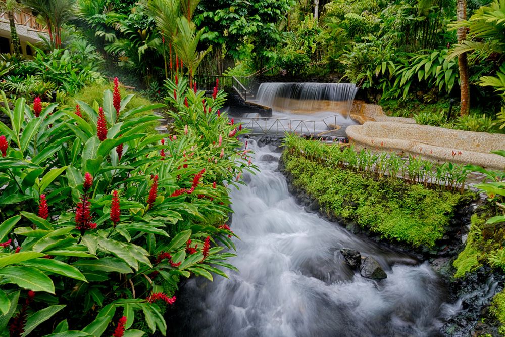 Rushing stream with tropical plants and red flowers alongside cascading waterfalls in a lush garden.