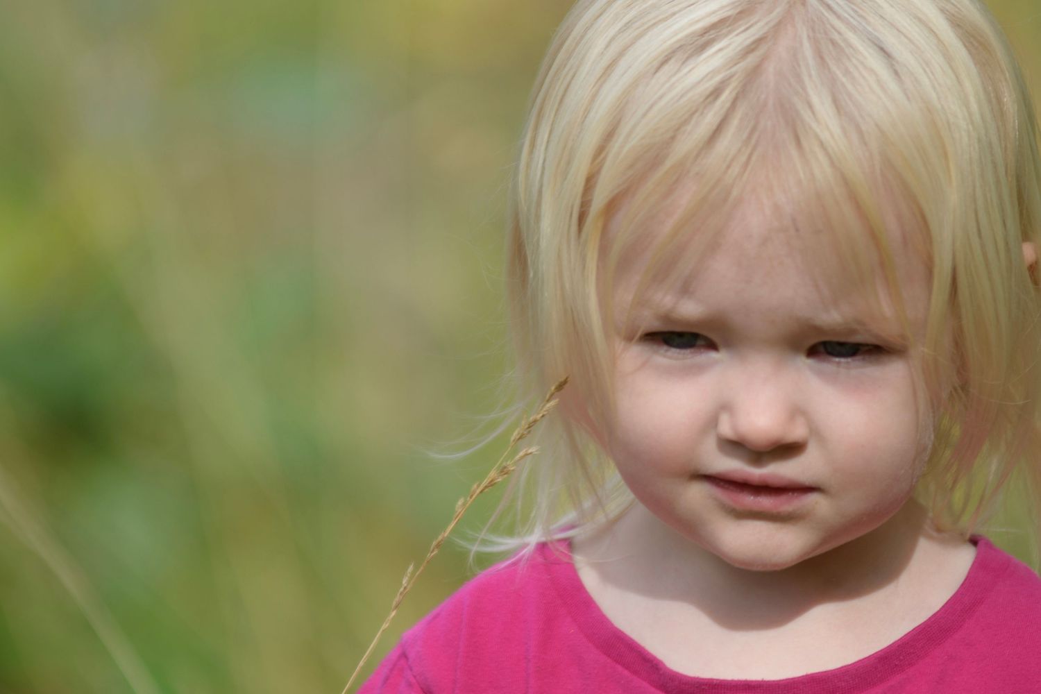 Close-up portrait series of a young child with blonde hair in a natural outdoor setting.