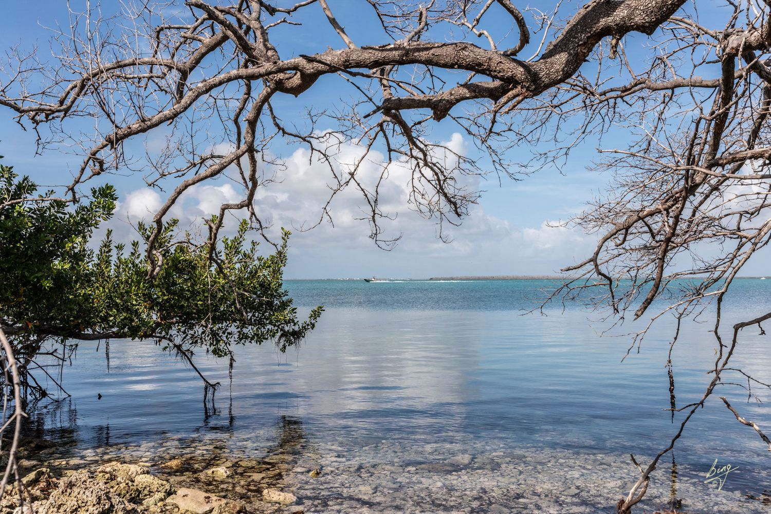 Road to Key West