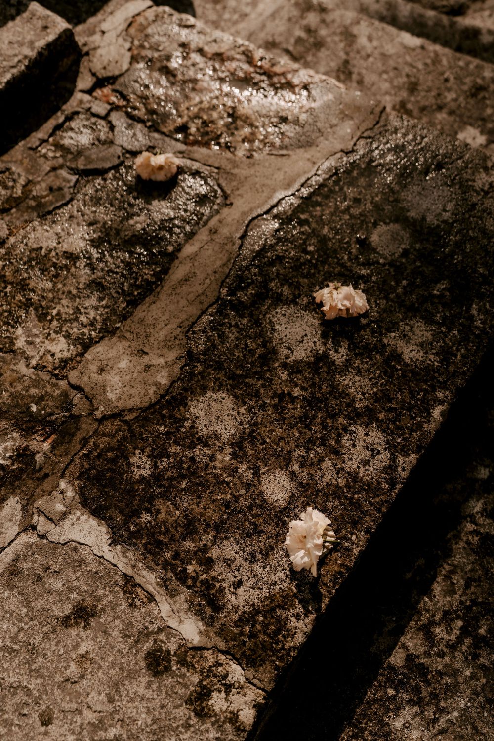 Textured stone surface with weathered patterns in sepia tones.