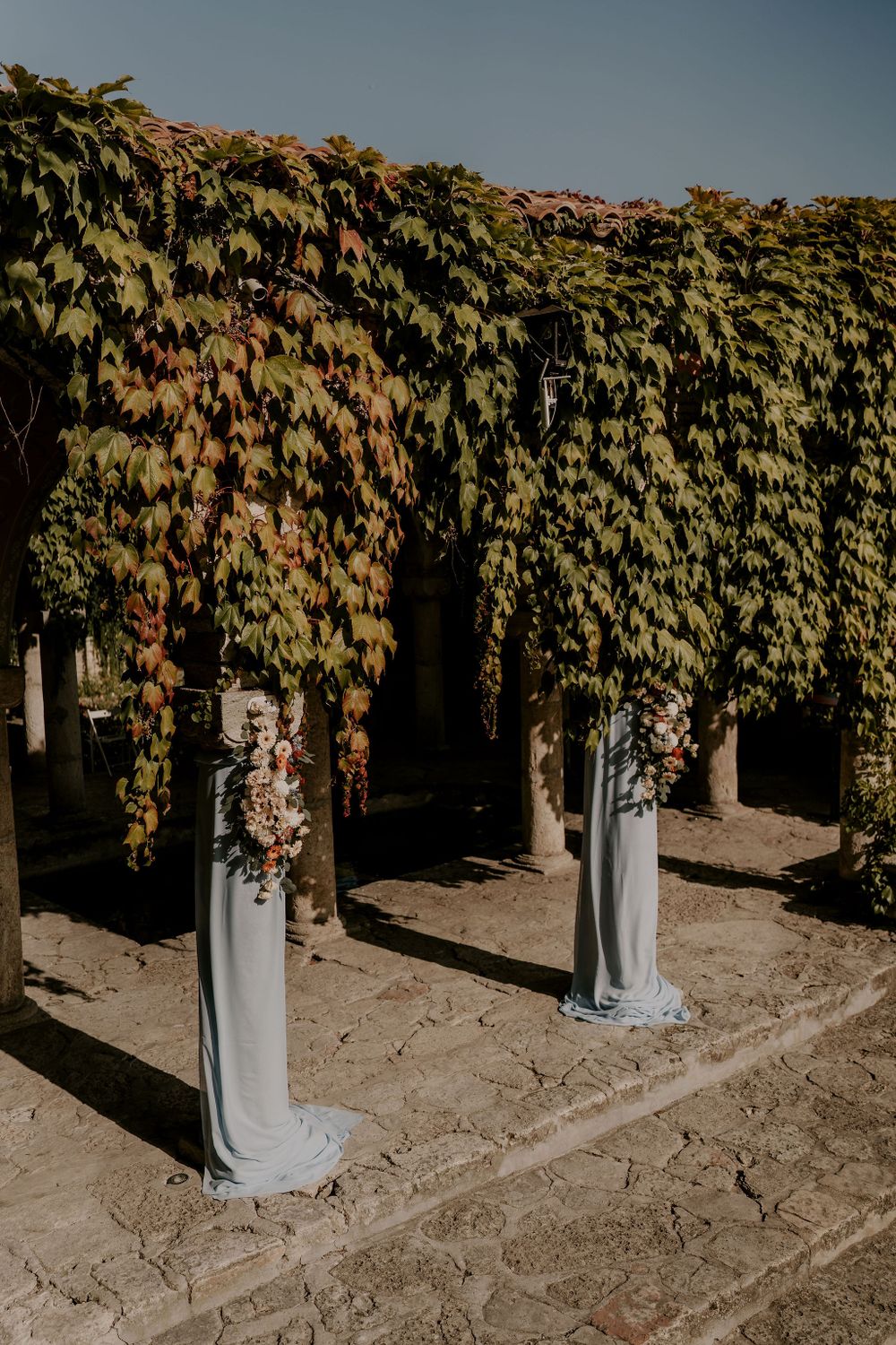 Ivy-covered white columns line a stone pathway in warm sunlight.