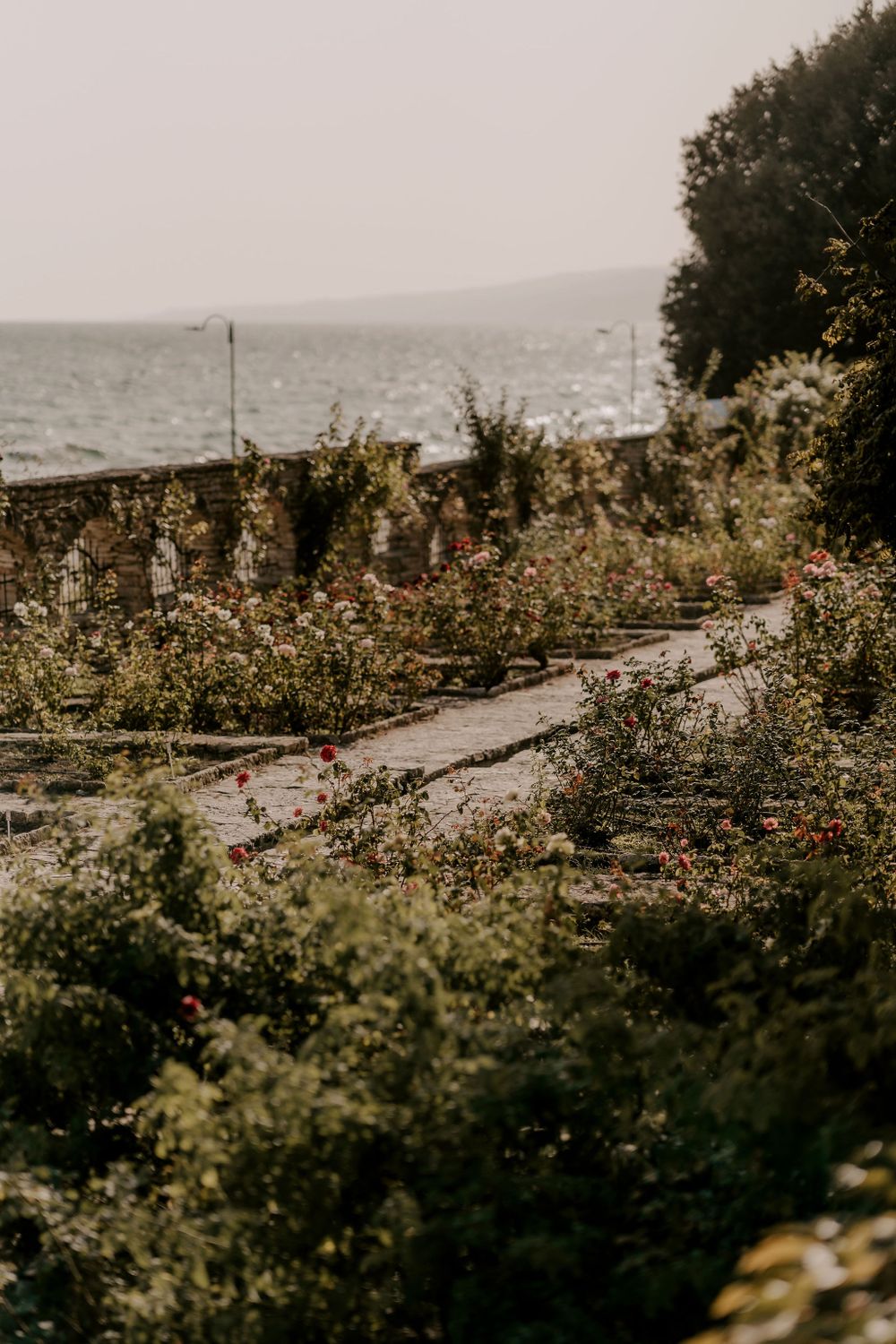 Scenic garden landscape view with mountains in the distance on a misty day.