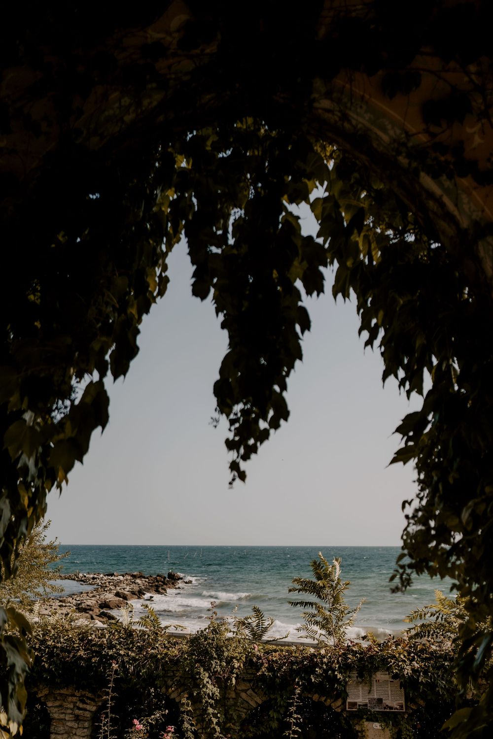 Ocean view framed by overhanging tree branches creating a natural archway.