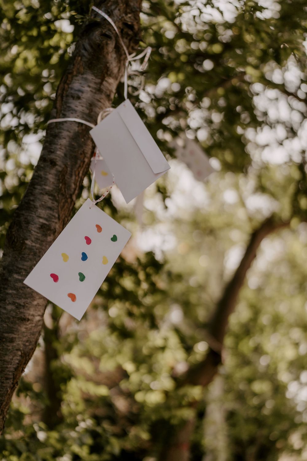 Playing cards with colorful dots hang from tree branches in a dreamy outdoor setting.
