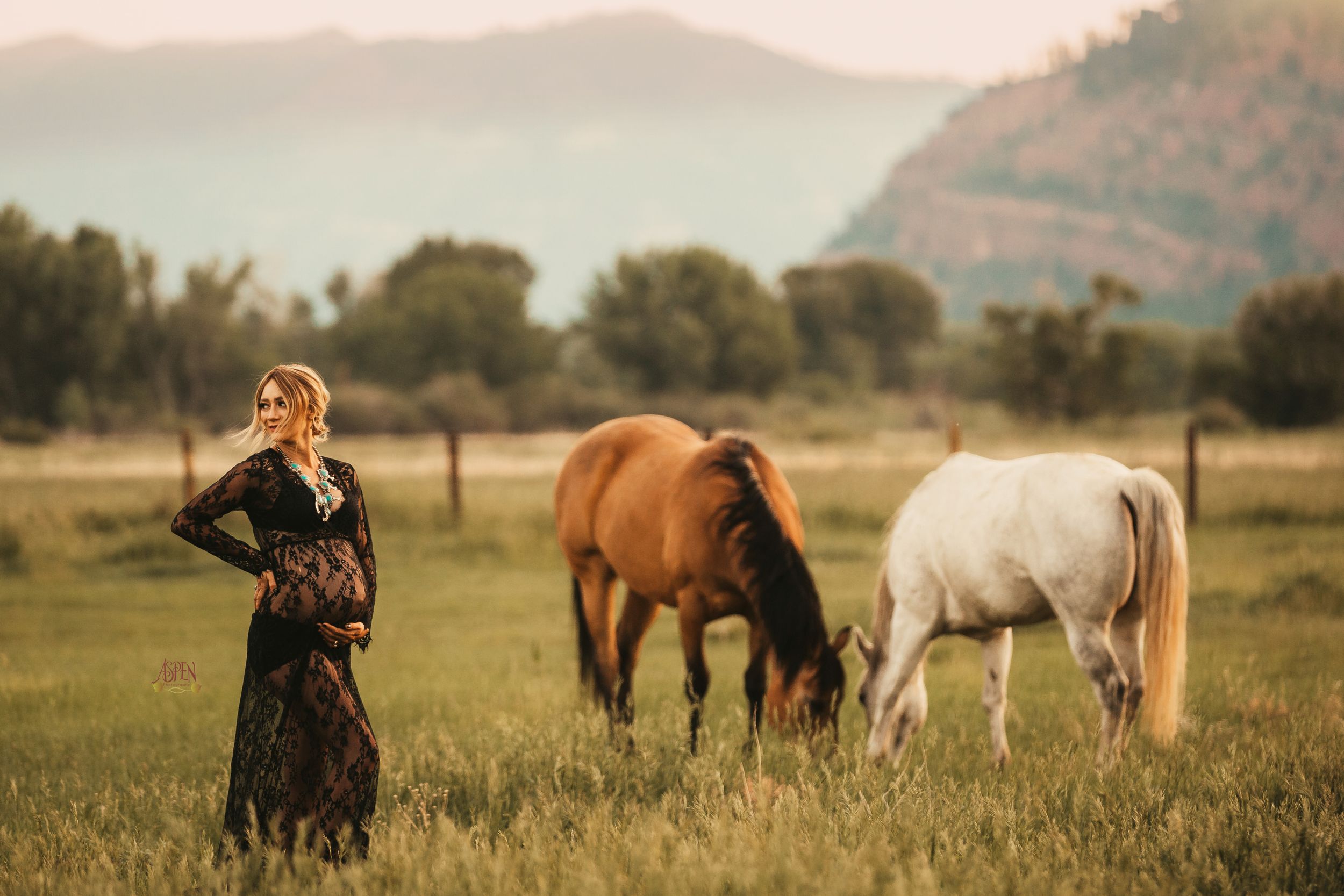 Pregnant woman in black lace dress standing in green field with two grazing horses.