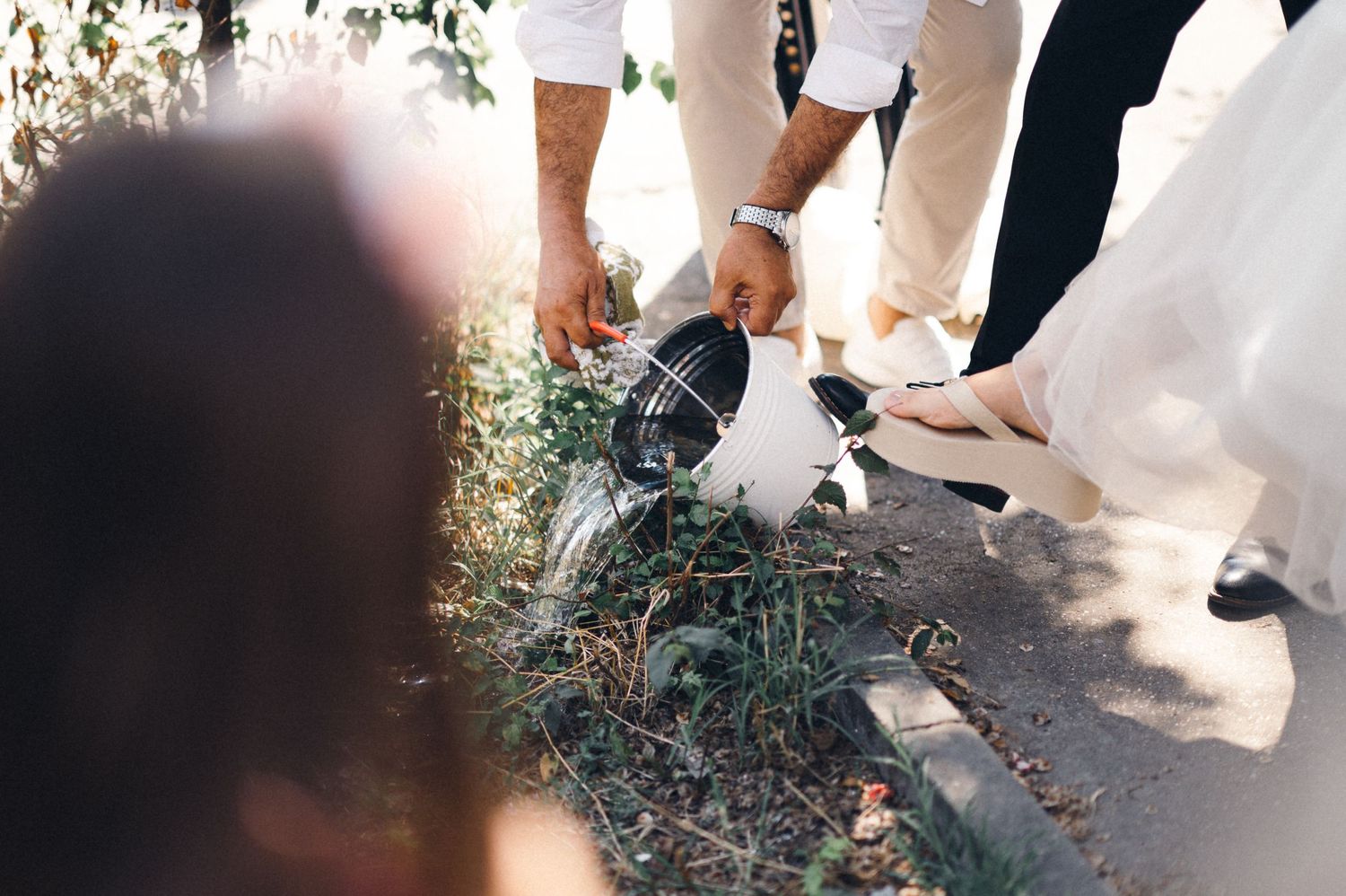 Guests gathered around pigeons on the ground at an outdoor wedding celebration.