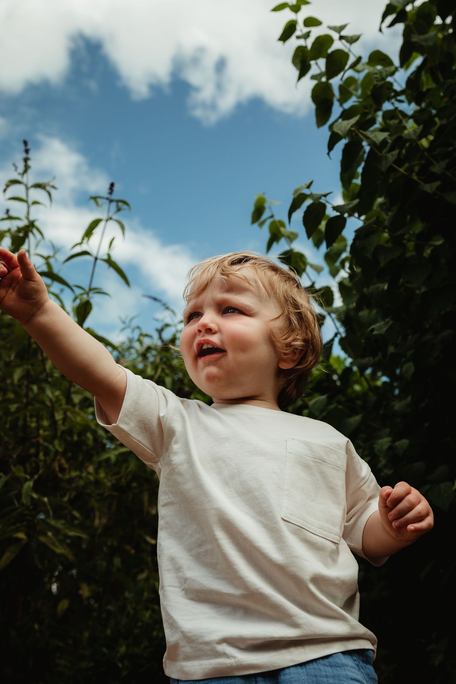 Toddler playing in garden with blue sky behind him