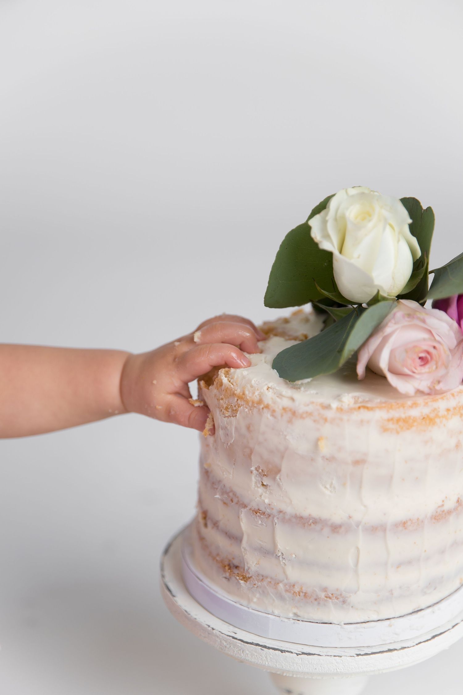 charlotte nc cake smash photographer