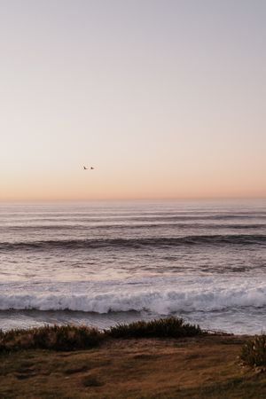 Sunset ocean view with two birds flying over rolling waves.