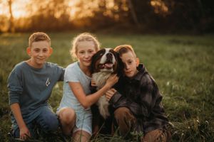 Three children pose with their Bernese Mountain Dog during golden hour.