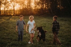 Young people walking with their Bernese Mountain Dog in a sunset-lit field.