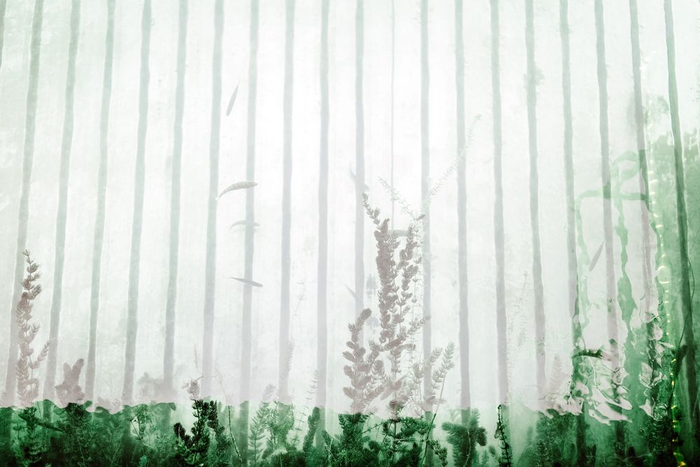 Detail shot of tall green grass and wildflowers growing in front of a white slatted fence.