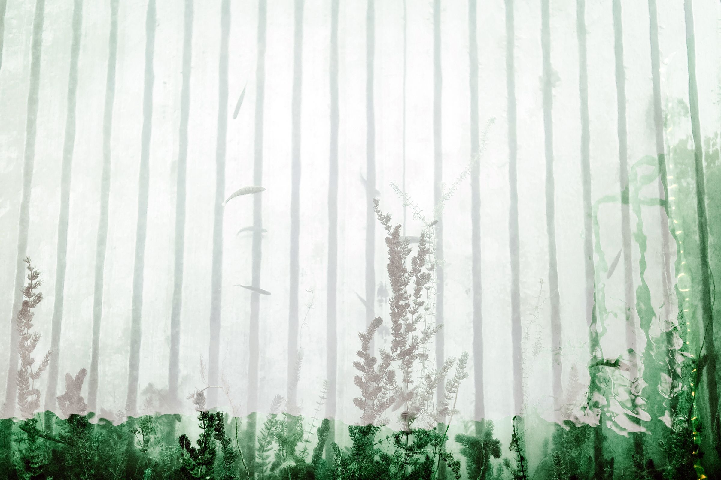 Detail shot of tall green grass and wildflowers growing in front of a white slatted fence.