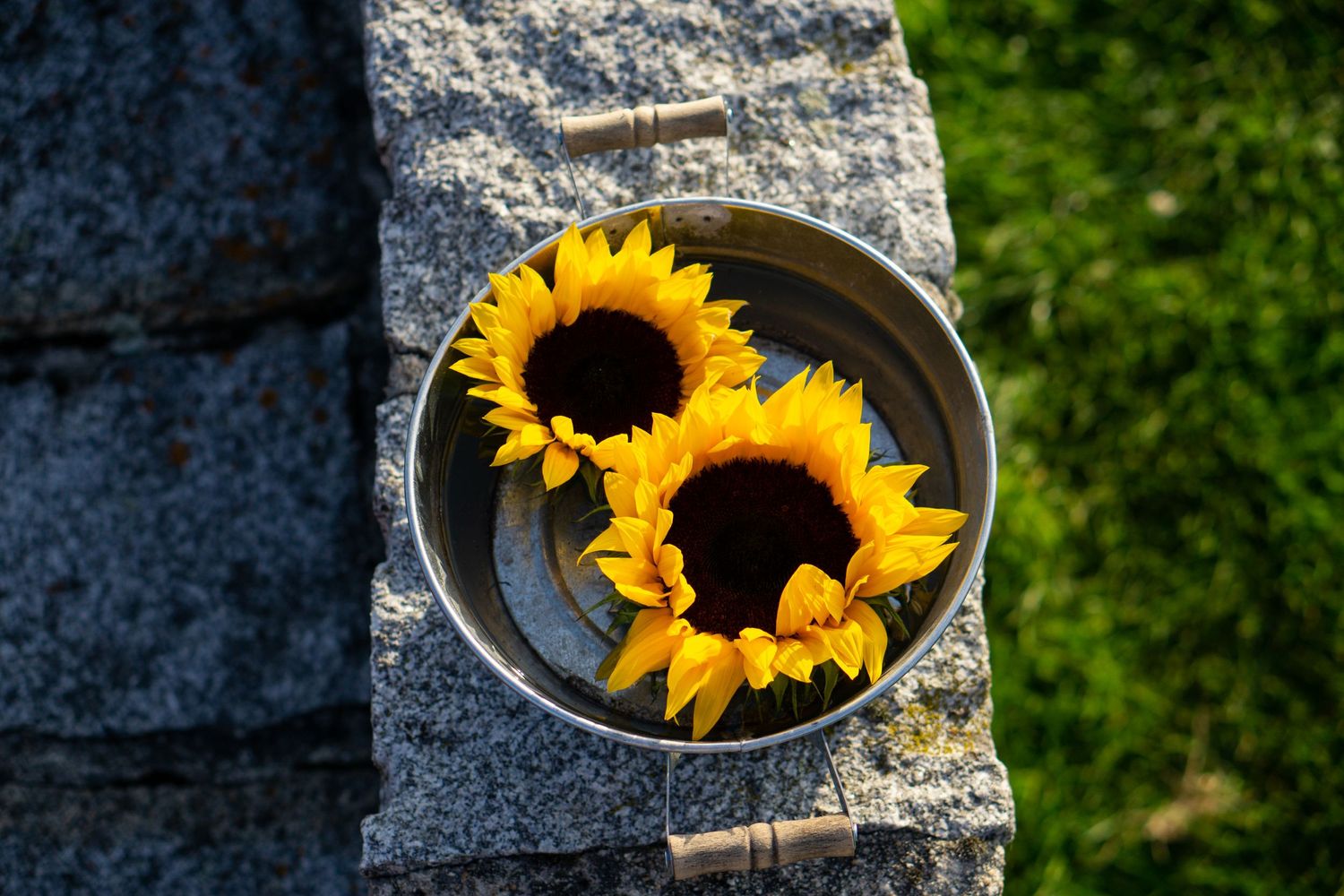 Zwei Sonnenblumen in einem Eimer auf einer Steinmauer, Hochzeitsdetail in natürlichem Stil.