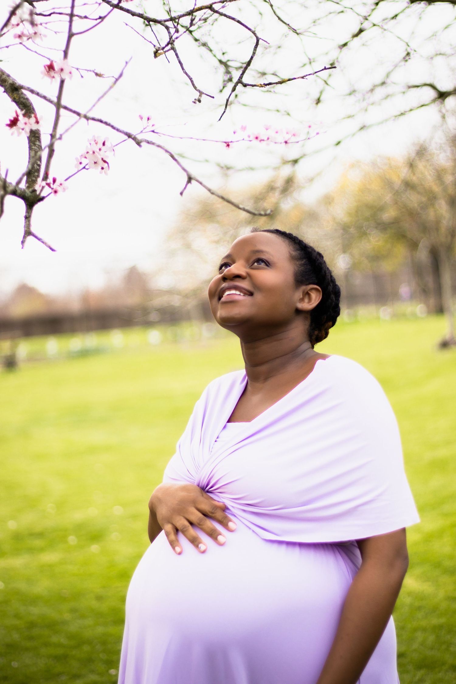 Spring maternity portrait under blooming cherry blossoms with soft natural lighting.