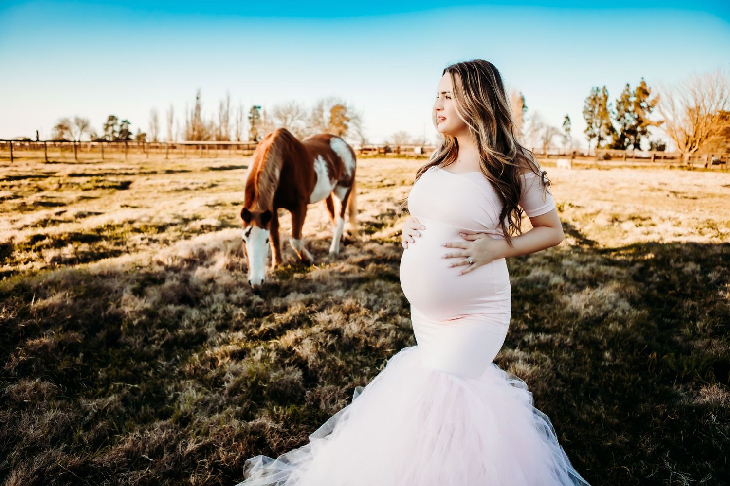 Maternity Session