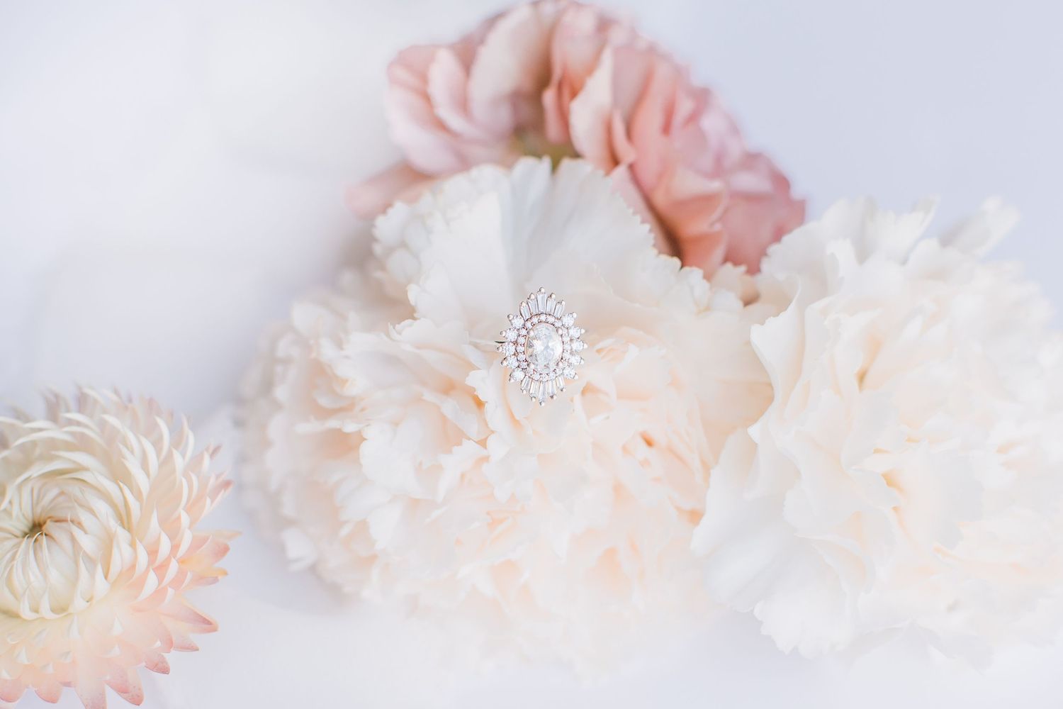 Event Planners Utah Wedding Photographer Haley Thomas Photography