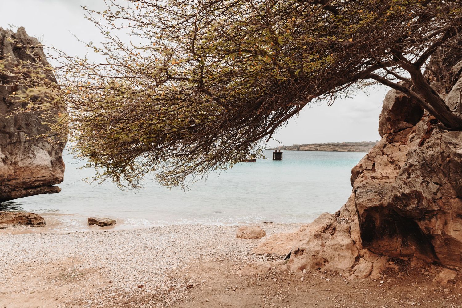 Rocky beach cove with overhanging tree branches framing a view of calm blue waters.