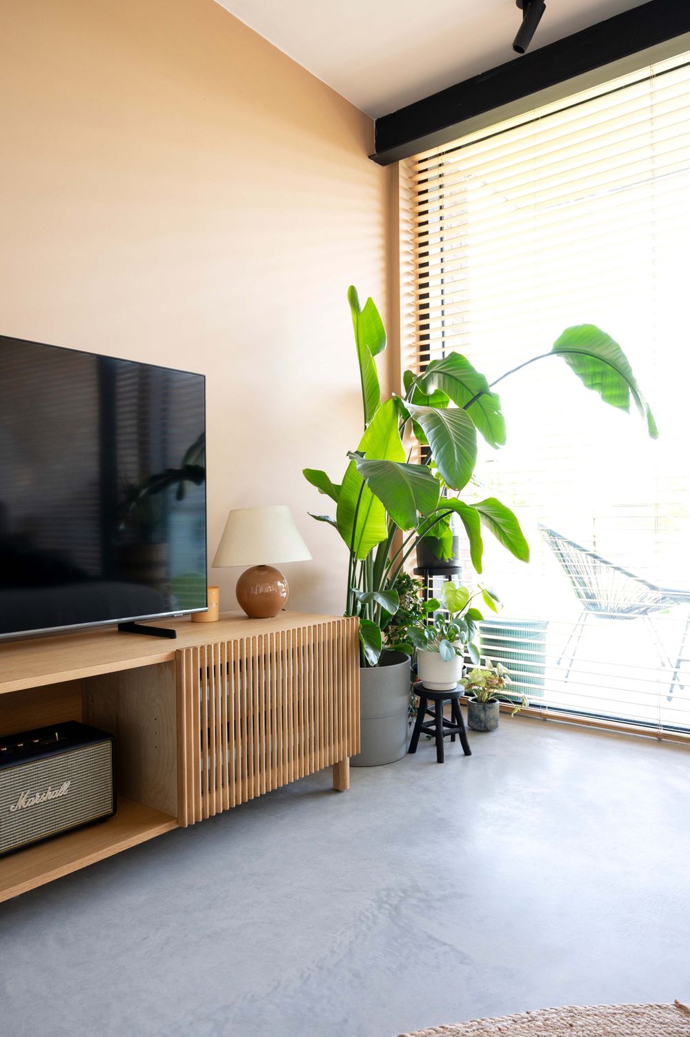 Minimalist living room with wooden media console and indoor plants by large windows.