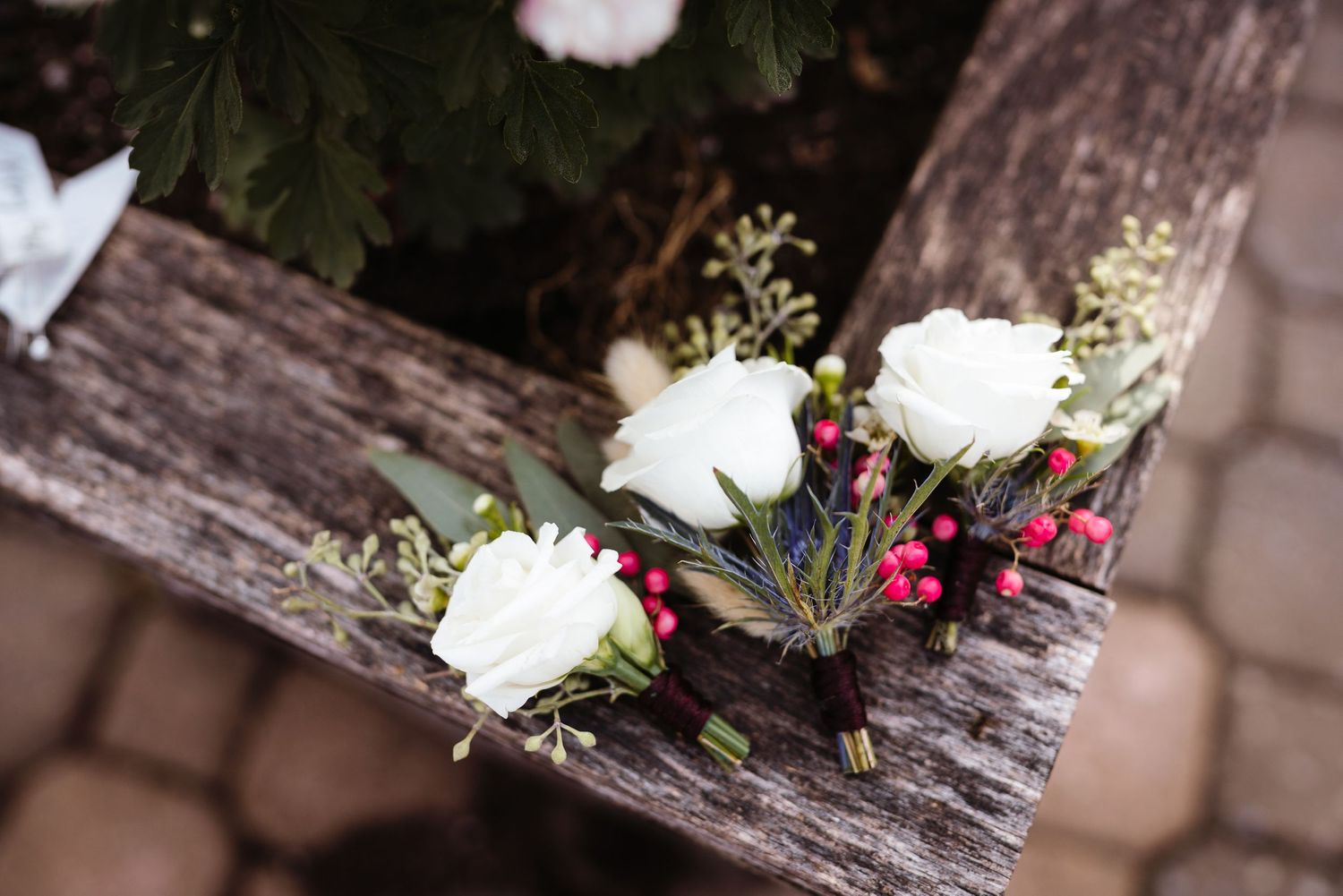 Delicate white roses with red berries arranged on weathered wood surface.