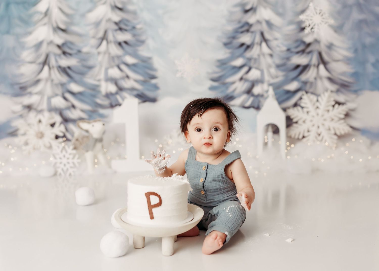 Tulsa cake smash photographer baby boy winter wonderland theme cake smash