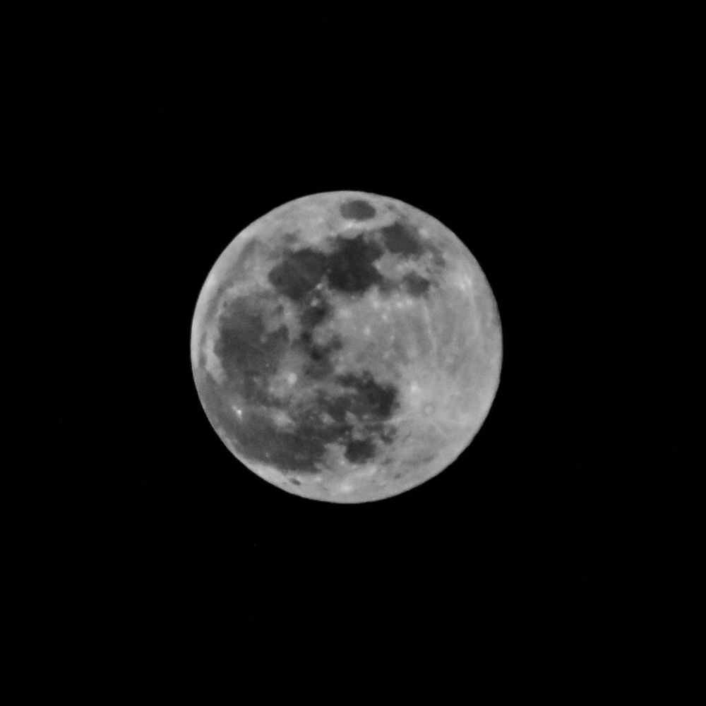 Detailed black and white photograph of a full moon showing surface craters.