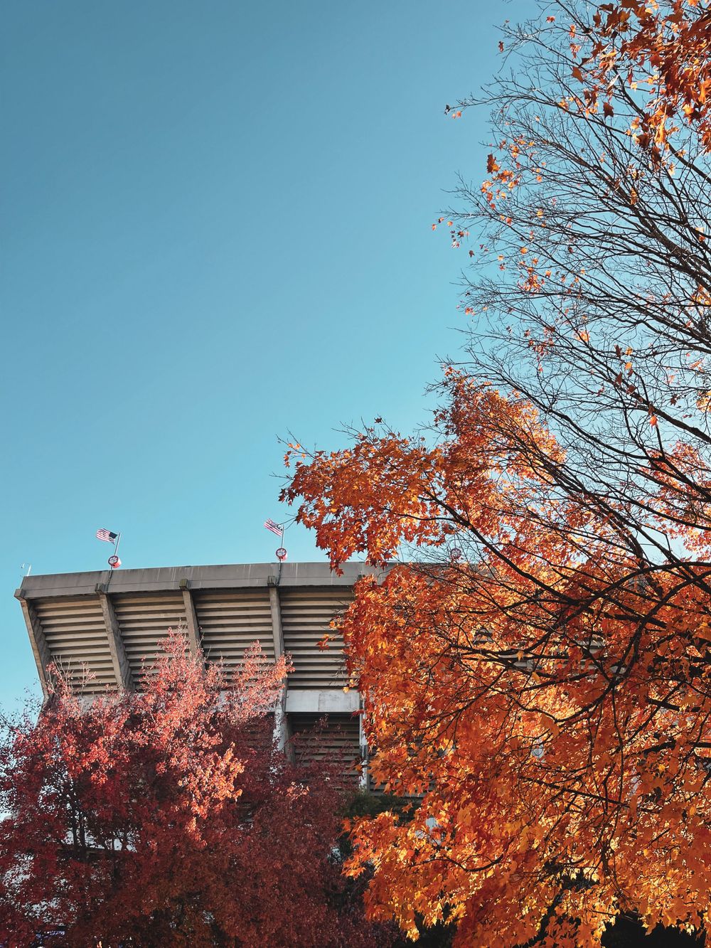 Stadium structure viewed through autumn trees with bright red and orange leaves against blue sky.
