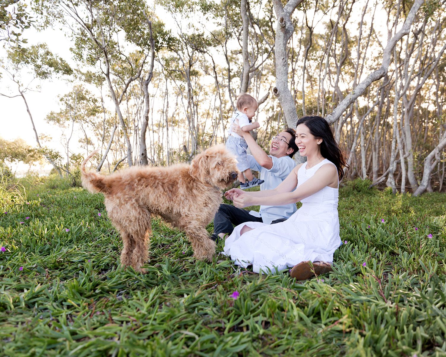 fun family photo shoot with newborn and dog at nudgee beach brisbane