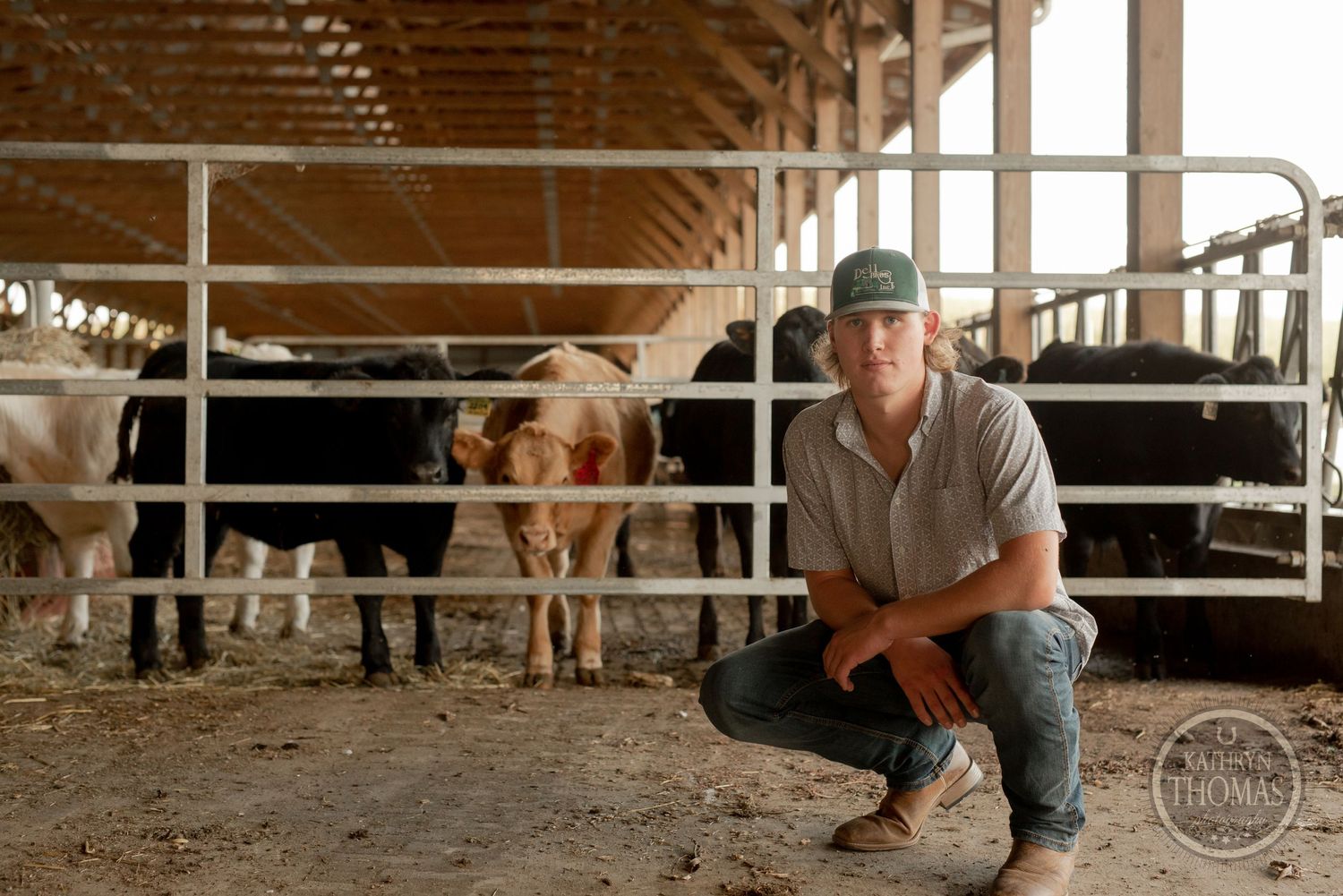 Young farmer in baseball cap crouching near cattle in a barn setting.