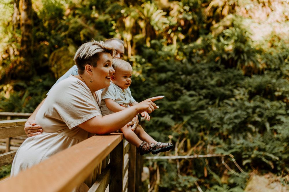 A family looks out over a wooden railing on a forest trail.