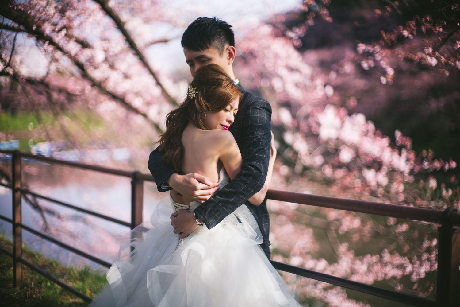 Cherry blossoms frame a romantic moment against soft pink spring backdrop.
