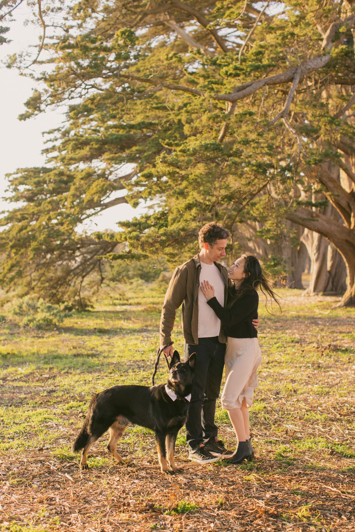 A couple poses with their dog under cypress trees during golden hour.