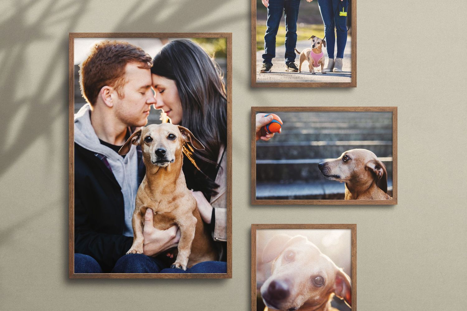 Gallery wall featuring framed photos of a couple with their beloved dog.